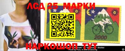 шишки Абакан
