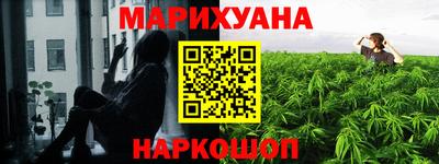 шишки Абакан