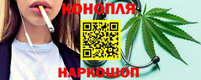 шишки Абакан
