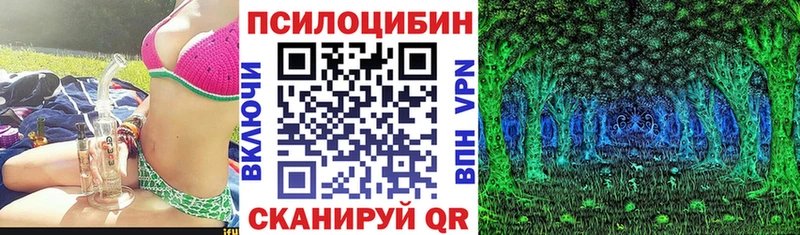 ссылка на мегу ONION  Рубцовск  Галлюциногенные грибы Cubensis  где купить наркоту 